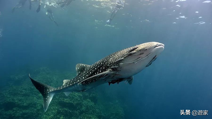泰国看日落最好的地方,来泰国旅游景区