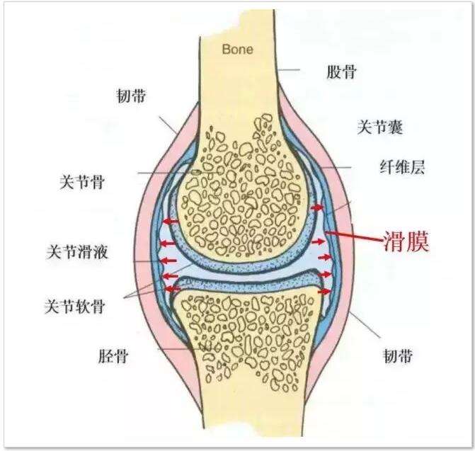 膝盖滑膜炎遇冷就痛,膝盖滑膜炎疼最快缓解方法小妙招