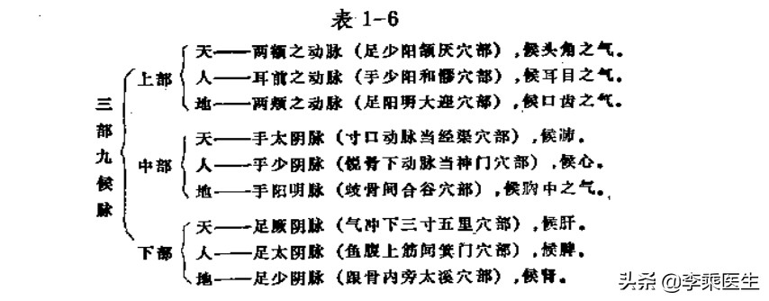经络学与养生,经络腧穴学说