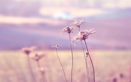 如果没有诗仙李白会怎么样,如果没有李白杜甫会怎样