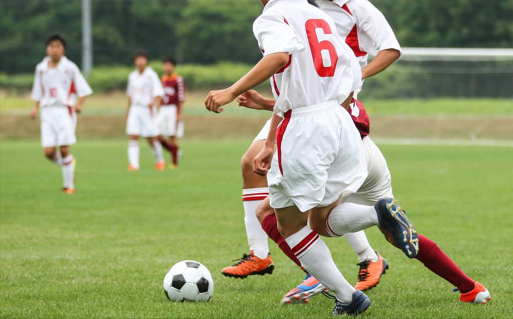 鱼塘泥鳅如何赚钱,泥鳅一亩地能挣多少钱