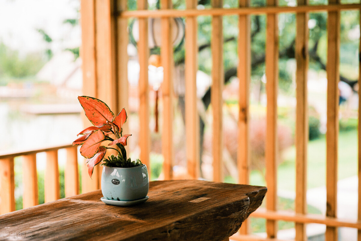 竹家具十大排名,怀集竹家具