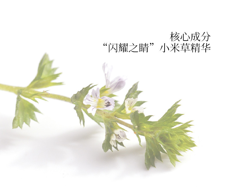 晓姿4d眼膜用了皱纹越来越严重,axxzia晓姿眼膜怎样用