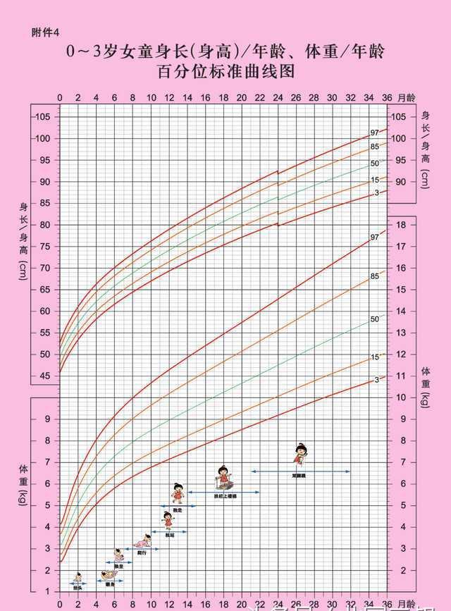 特配粉怎么看真假,特配粉品牌有哪些