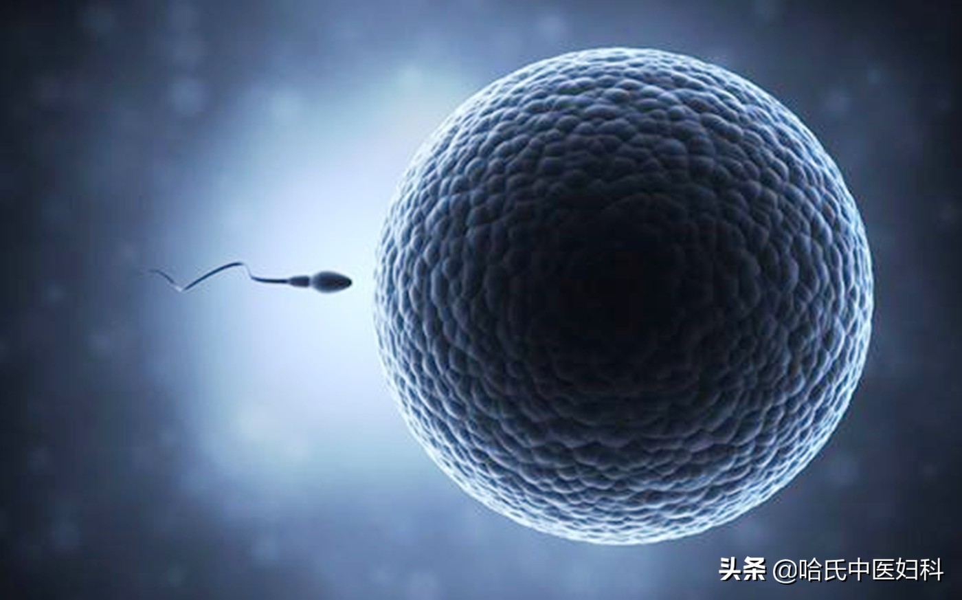 切输卵管，是妇产科最简单的手术？——输卵管不愿意了