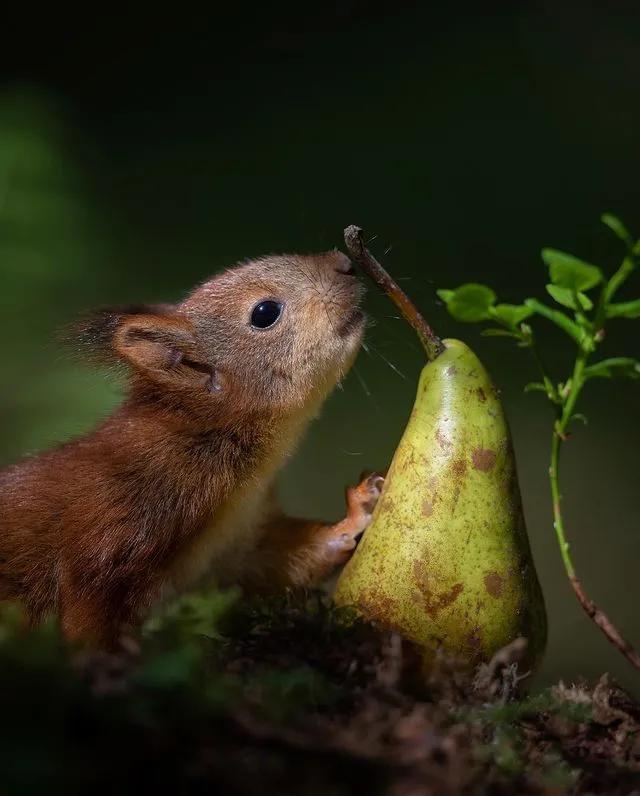 葬礼当天，她成为了四个孩子的“后妈”，网友：这是童话故事吧