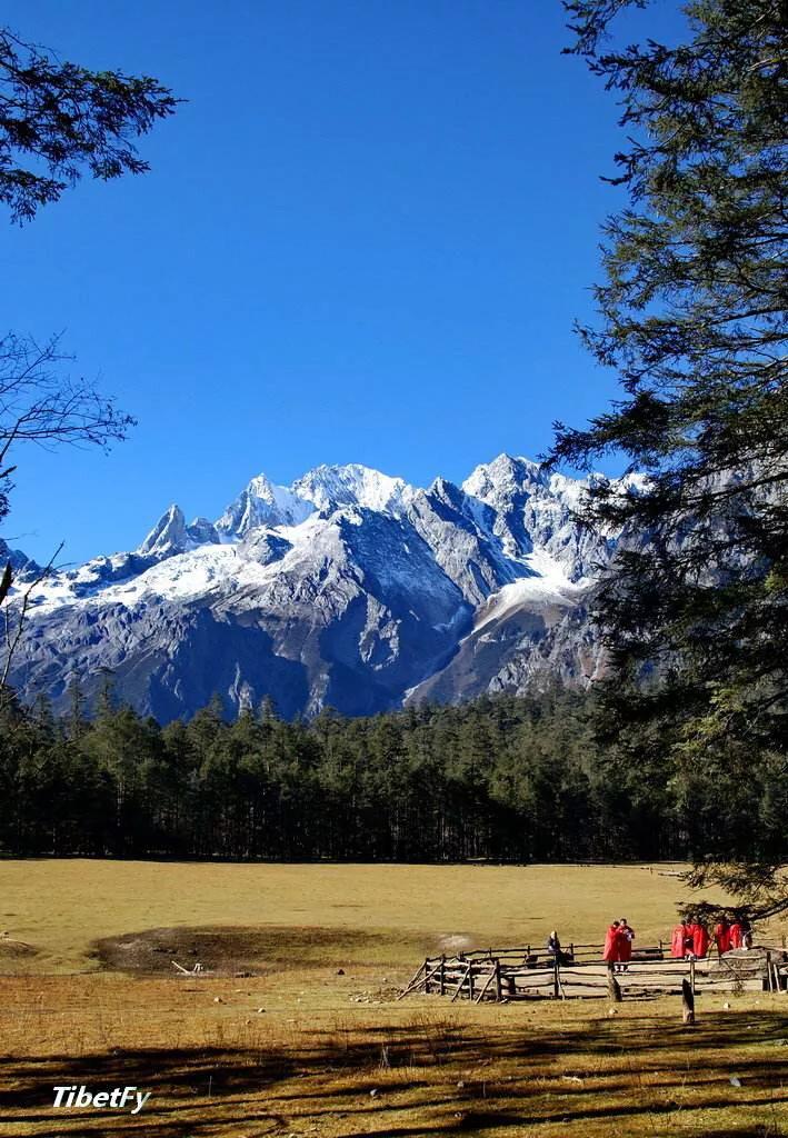 无标题文章解说 (无标题文章解决方法)