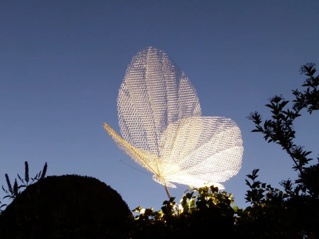 萌宠上阵，整个空间都奇趣了！