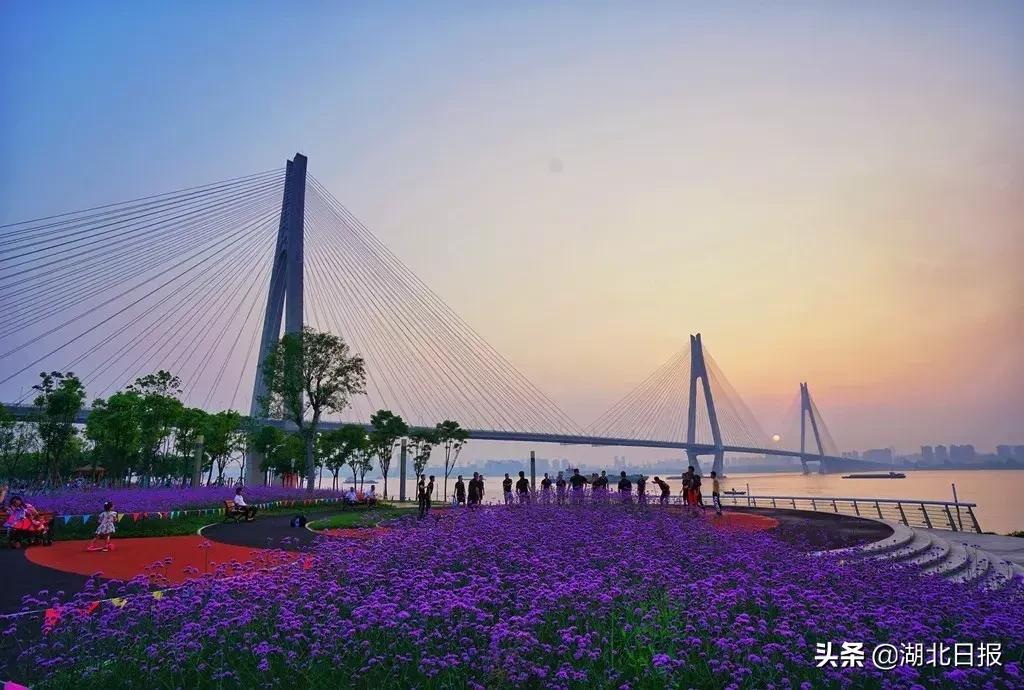 湖北各市长江大桥数量,湖北最大长江大桥图