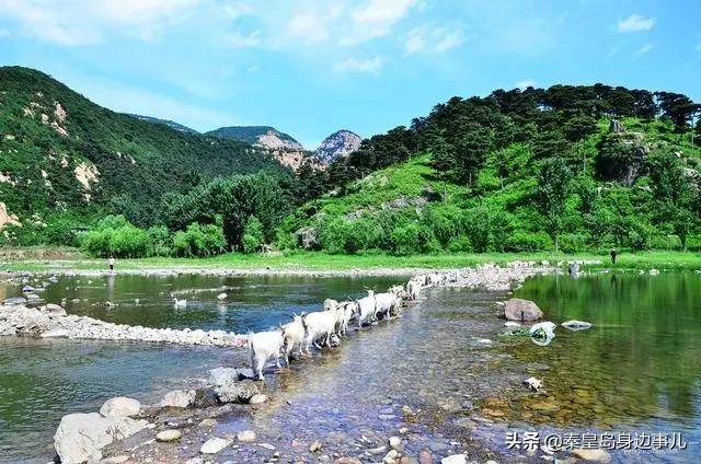 秦皇岛达润时代逸城解封时间,秦皇岛各区解封没有