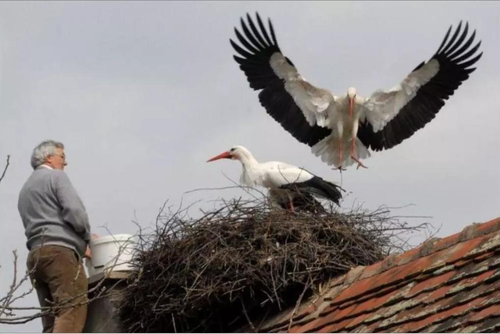 18年感人的爱情故事视频,18年的爱情故事