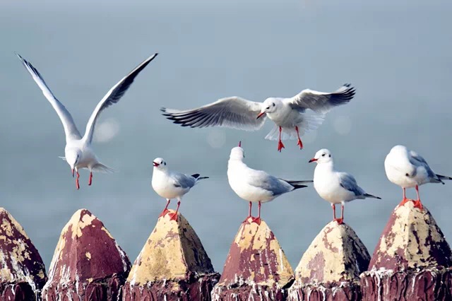 江湖都在哪个地方,江湖在哪个电视台播出