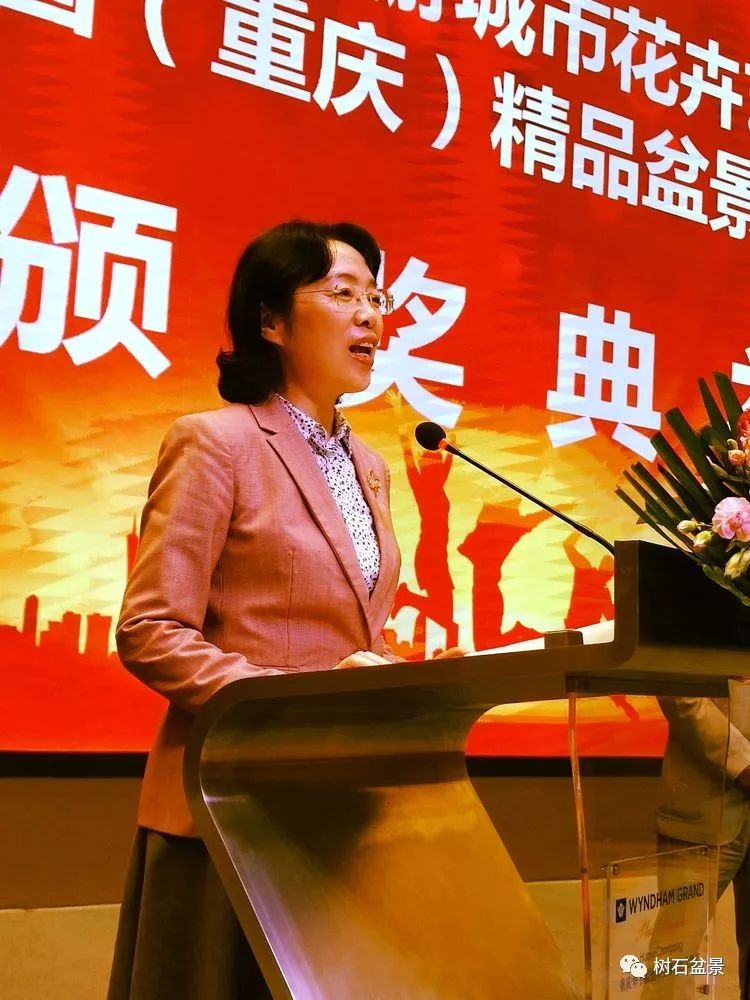 伟大使命复兴中国盆景艺术事业——2019中盆会大事回顾(下篇)