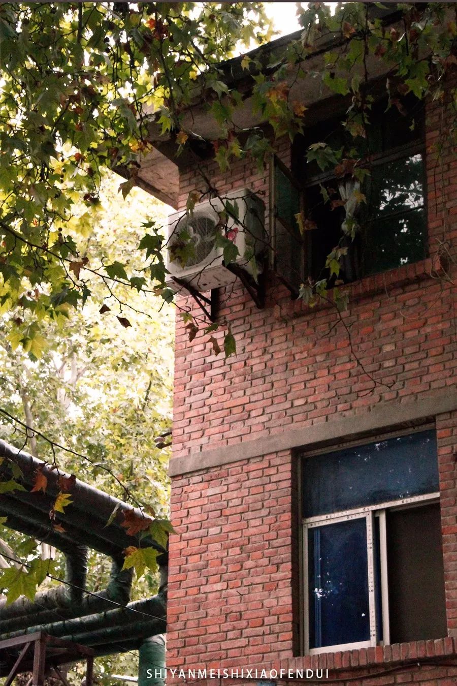 被生活打磨过的岁月,被生活捶打了50年才明白的道理