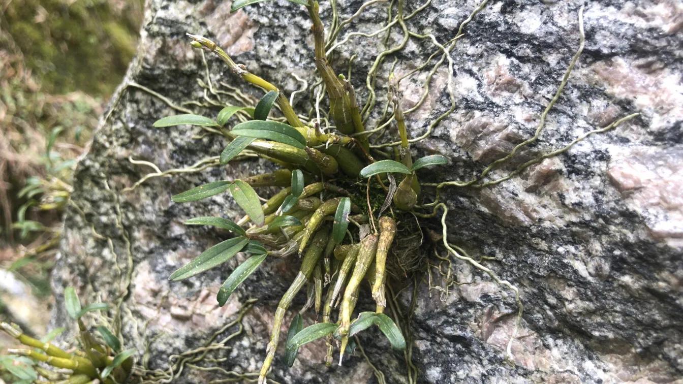 农村创业周边设备,农村创业周记17字