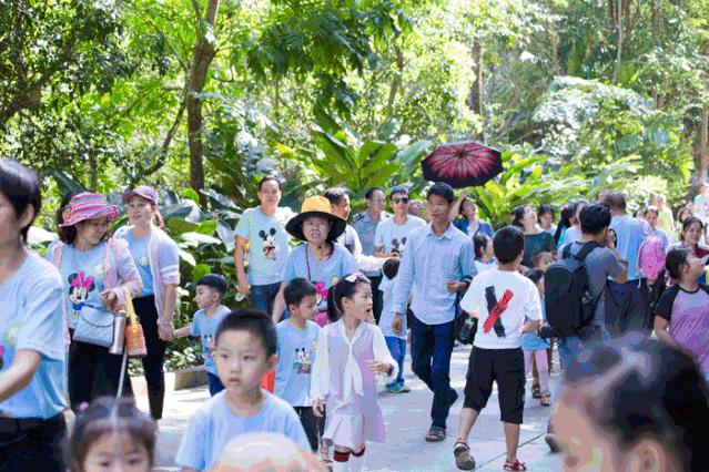 金秋多彩季，春晖幼儿园雨林仙境一日游