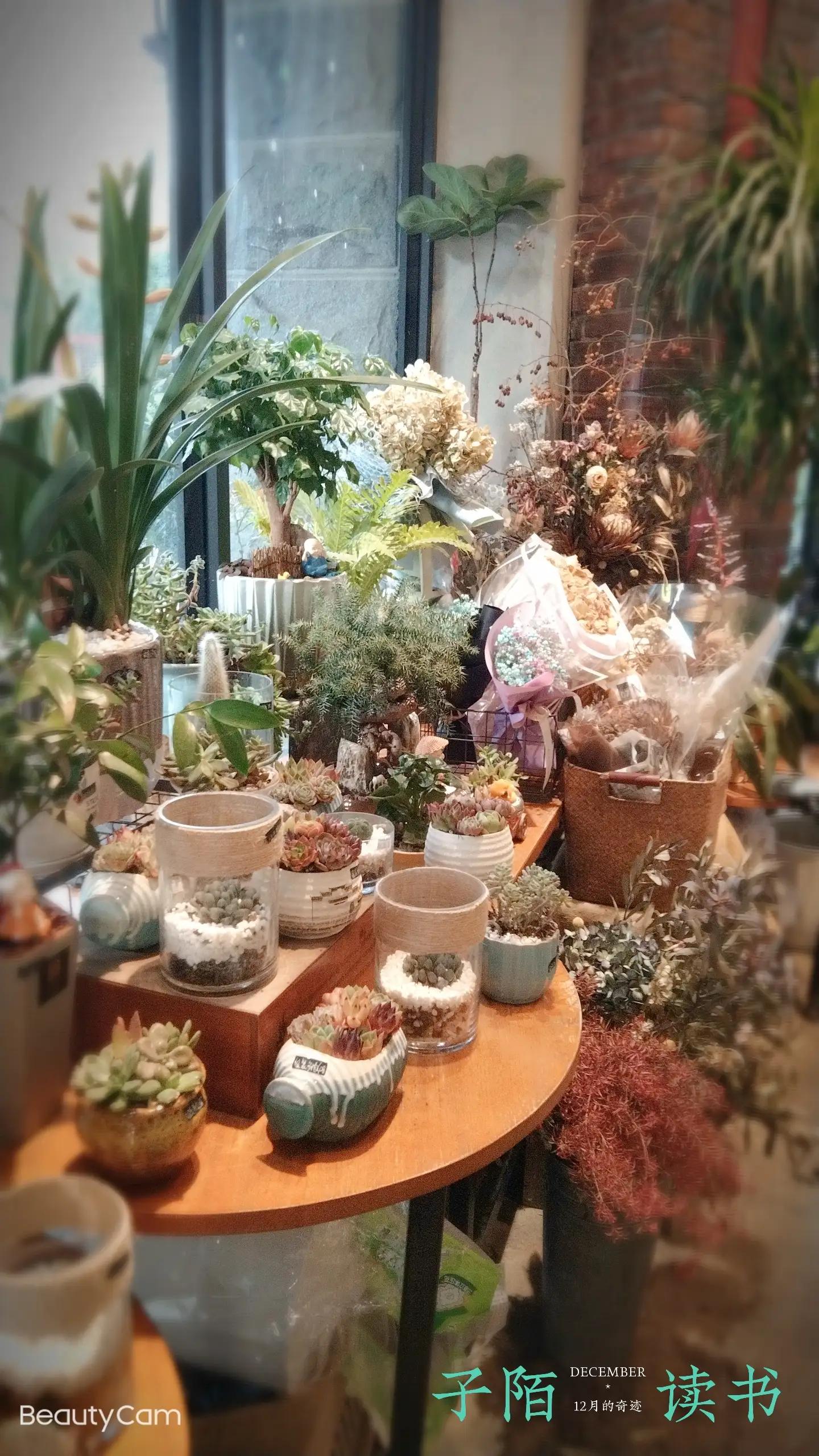 《自己的花是让别人看的》:我与季羡林先生的隔空相望……