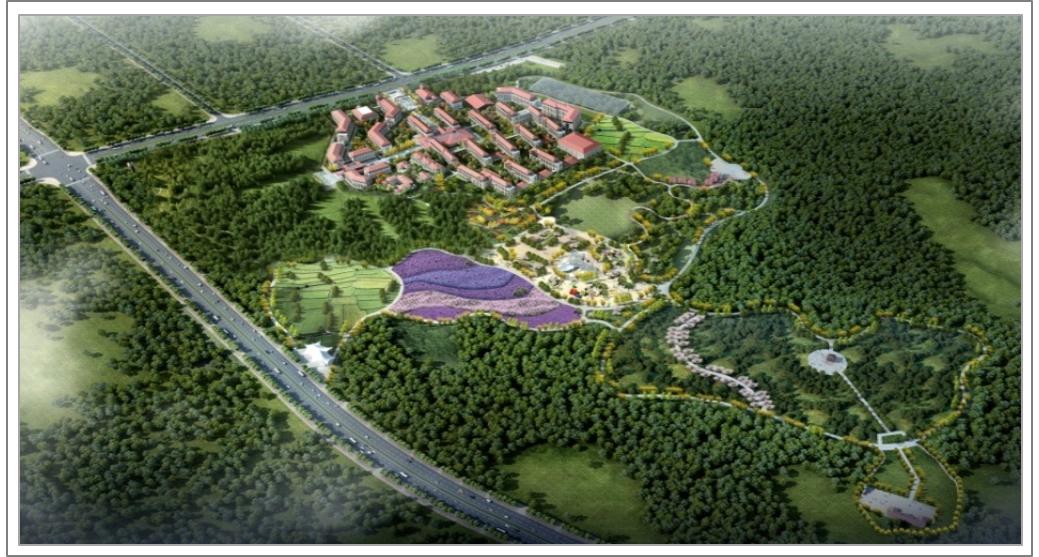 养老服务机构包含老年服务中心,养老机构管理办法贯彻落实情况