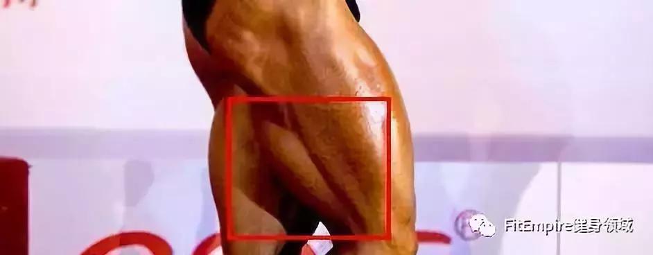 如何提高深蹲伸髋力量,深蹲和硬拉锻炼的肌肉部位图