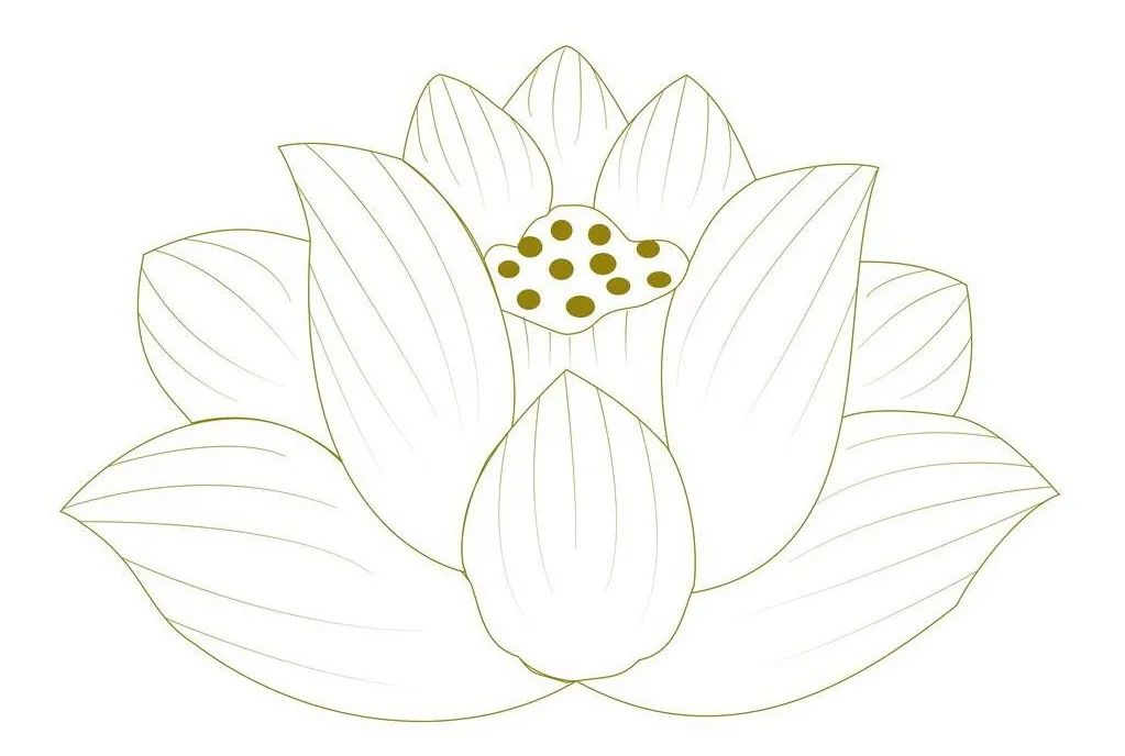 寺的简介,寺来历