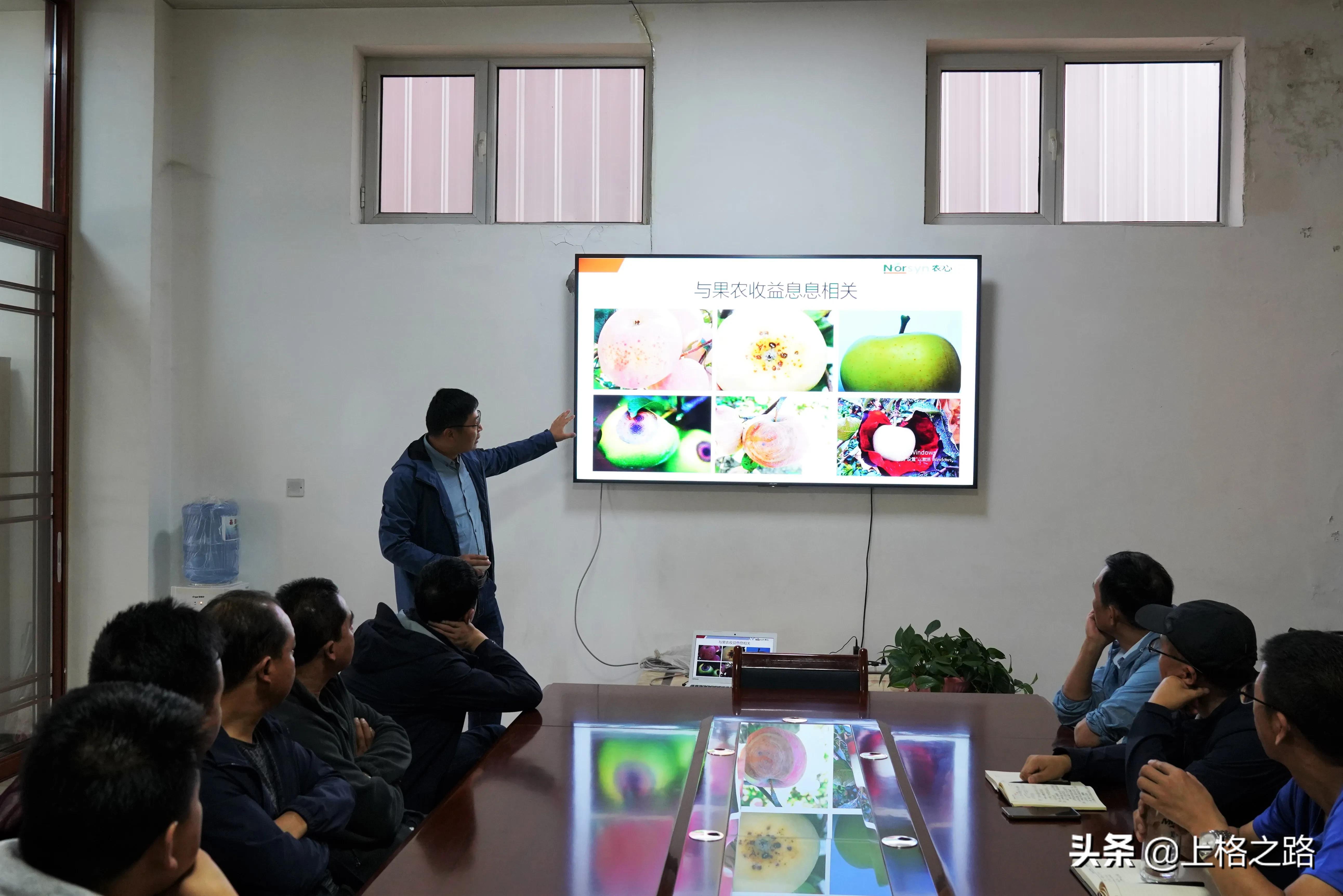 苹果产业的提质增效,平凉市苹果产业发展