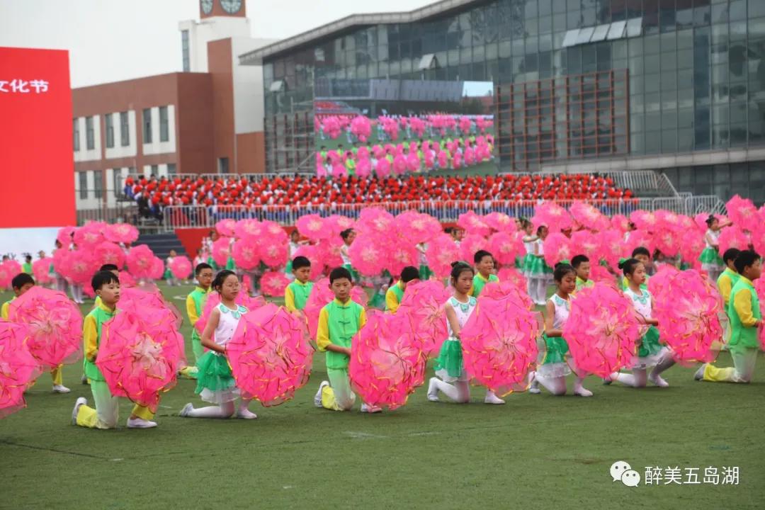 淮安市第七届体艺文化节,淮安第七届中小学艺术节