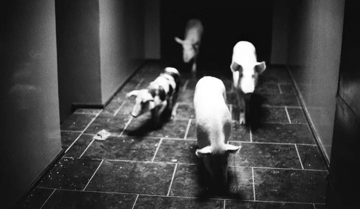 这个震惊世界的电影计划，究竟有多疯狂