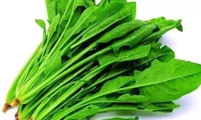 网评最难吃的水果,全网最难吃的蔬菜