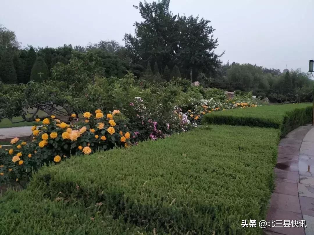 燕郊公园改造全过程,燕郊公园改造近况