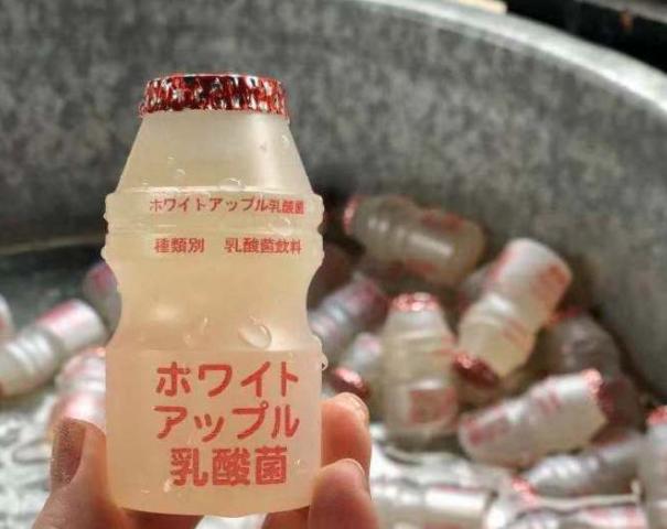 东京到镰仓和箱根攻略,东京箱根富士山镰仓