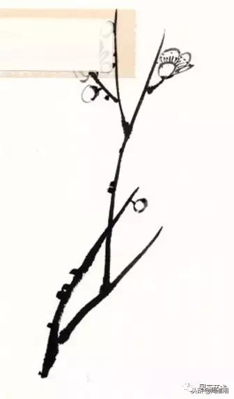 图文教程一学就会画写意菊花,零基础学画梅花教程