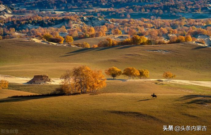 寻梦草原歌曲完整版,寻梦草原