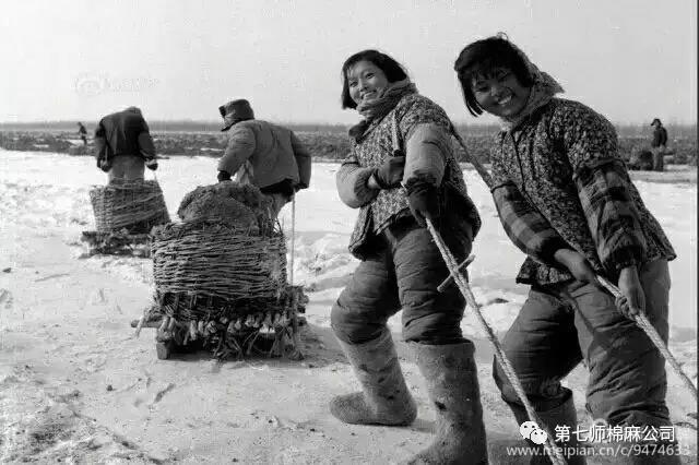 建设兵团1974年老照片,生产建设兵团老照片