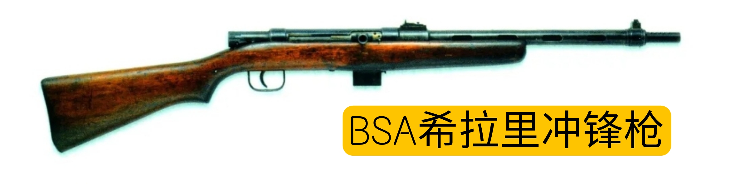 英国枪械发展史,英国枪械大全视频