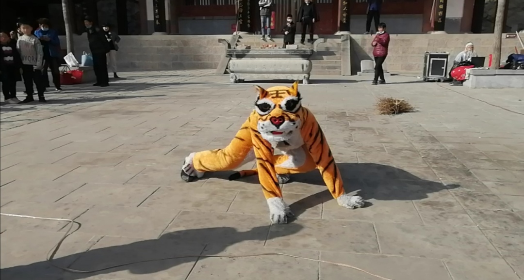 海拔500多米高山,500多米高山出现罕见一幕