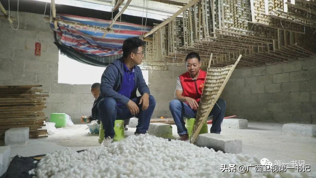 娉楁按鑴辫传鏀诲潥,娴庡畞娉楁按鎵惰传