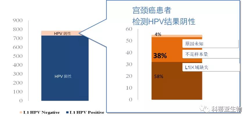 宫颈癌筛查是取哪些东西,宫颈癌筛查需要准备什么