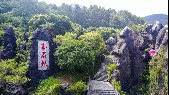 贺州新春节活动安排,贺州元宵节活动