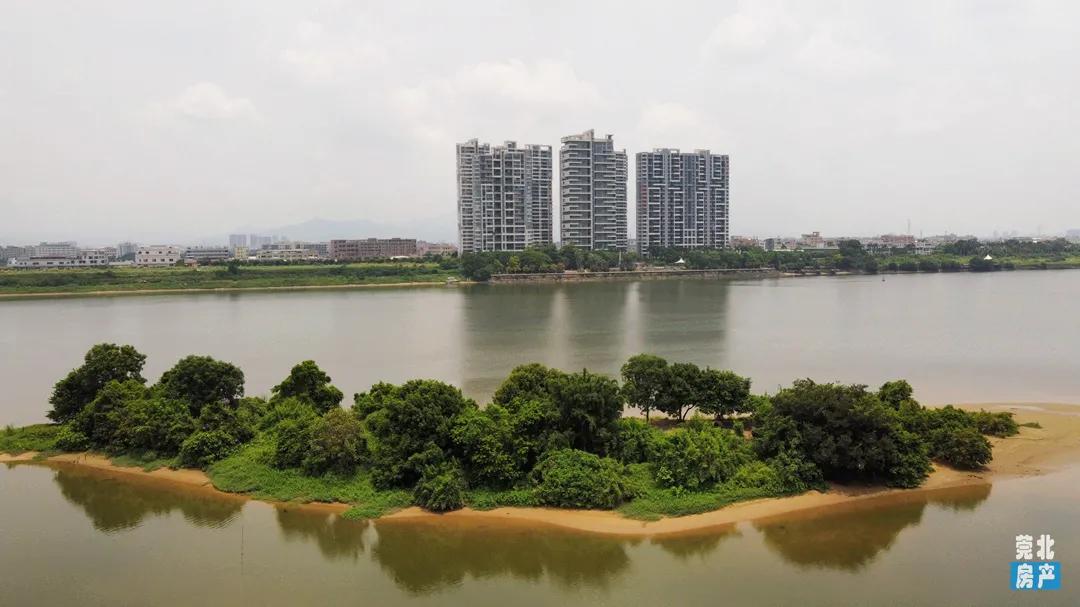 园洲东江府楼盘,惠州园洲东江府房价最新