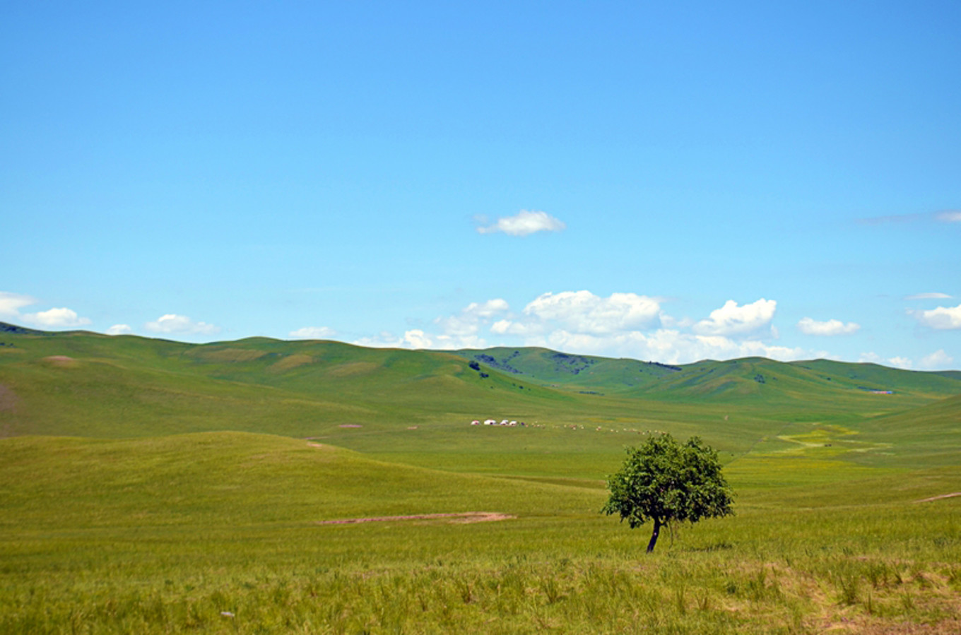 乌珠穆沁草原狼图腾,狼图腾草原魂歌曲