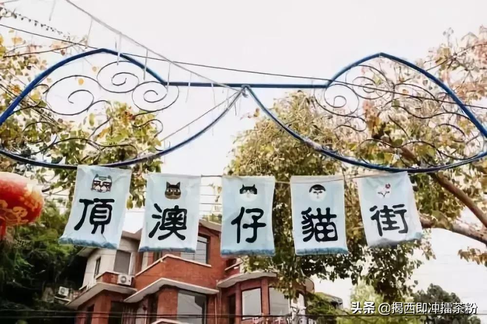 广州周边小众好玩的地方推荐,广州本地附近好玩的古风景点热门