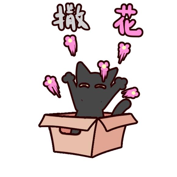 一个49岁女人的心路历程,一个女人的心路历程视频