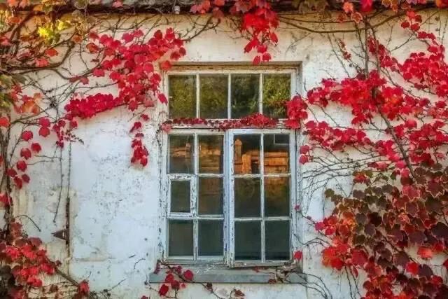 大连哪里的秋色最美呢,大连赏秋景的地方