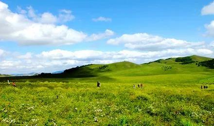 通过国家注册的深度水解配方奶粉,通过注册的奶粉配方名单