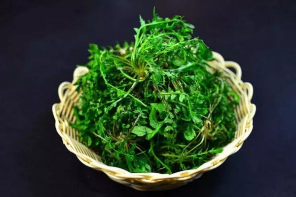 调荠菜饺子馅切记不要加一堆调料,调韭黄馅饺子馅牢记三不放