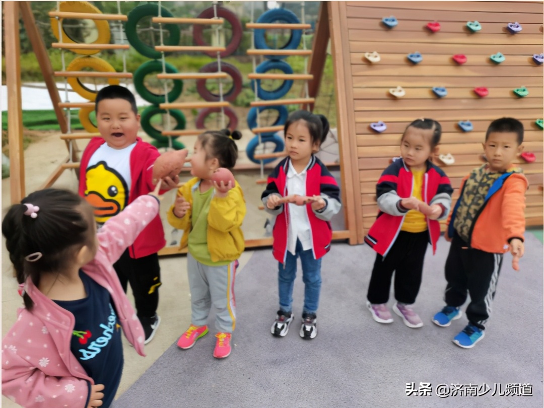 幼儿园红薯生成课活动方案,幼儿园科学教案红薯的成长过程