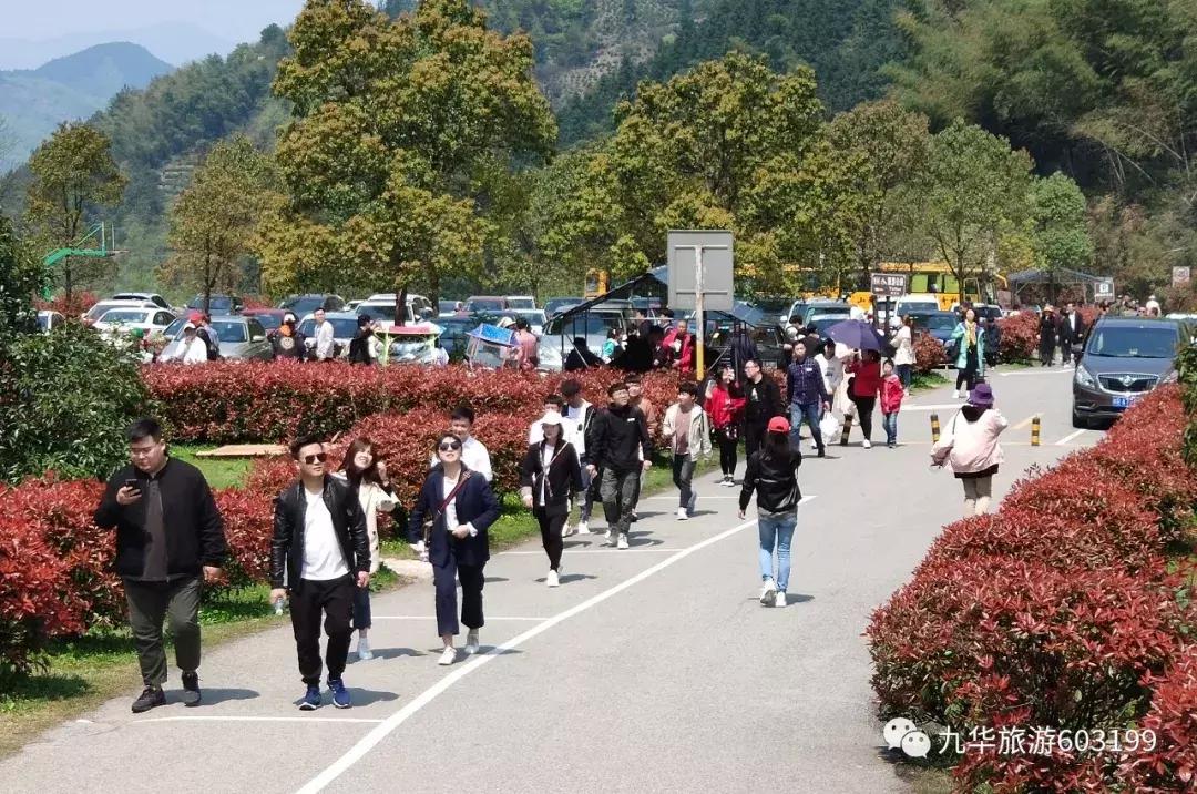 清明假期来九华山旅游,清明去九华山合适吗