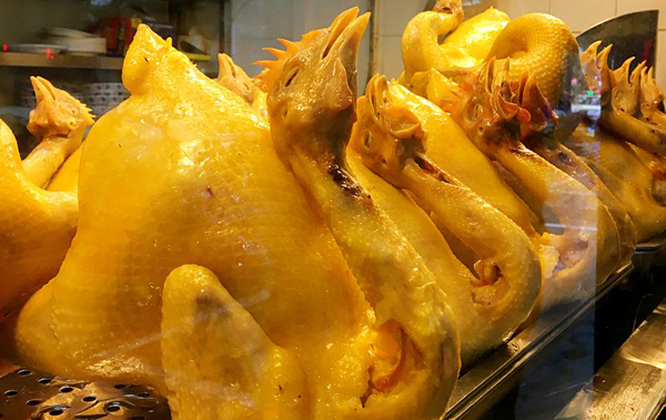 不是每只鸡都叫湛江鸡！1个镇200多间鸡饭店，吃过的人都点赞。