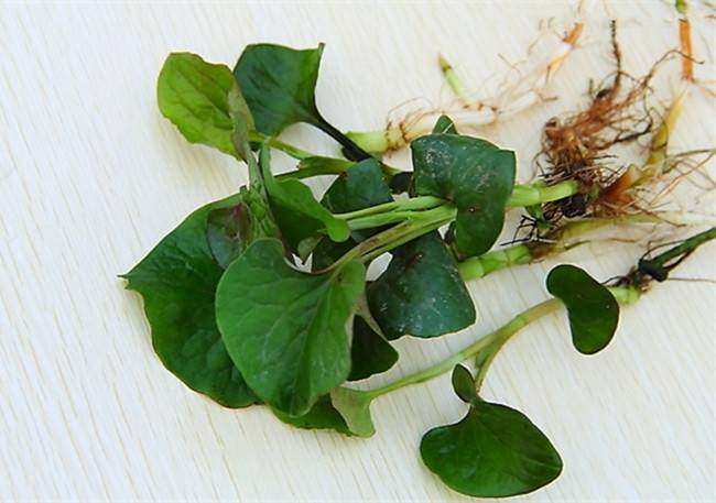 她身患癌症,35岁患上癌症她不远千里北上求医