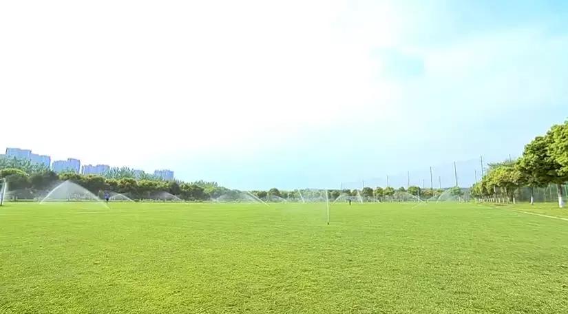 世警会真的来了吗,世警会即将举行完整版